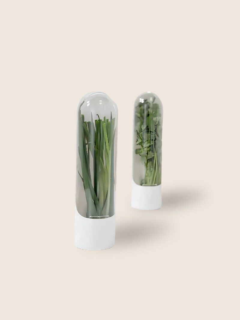 Conservateur d’Herbes Fraîches