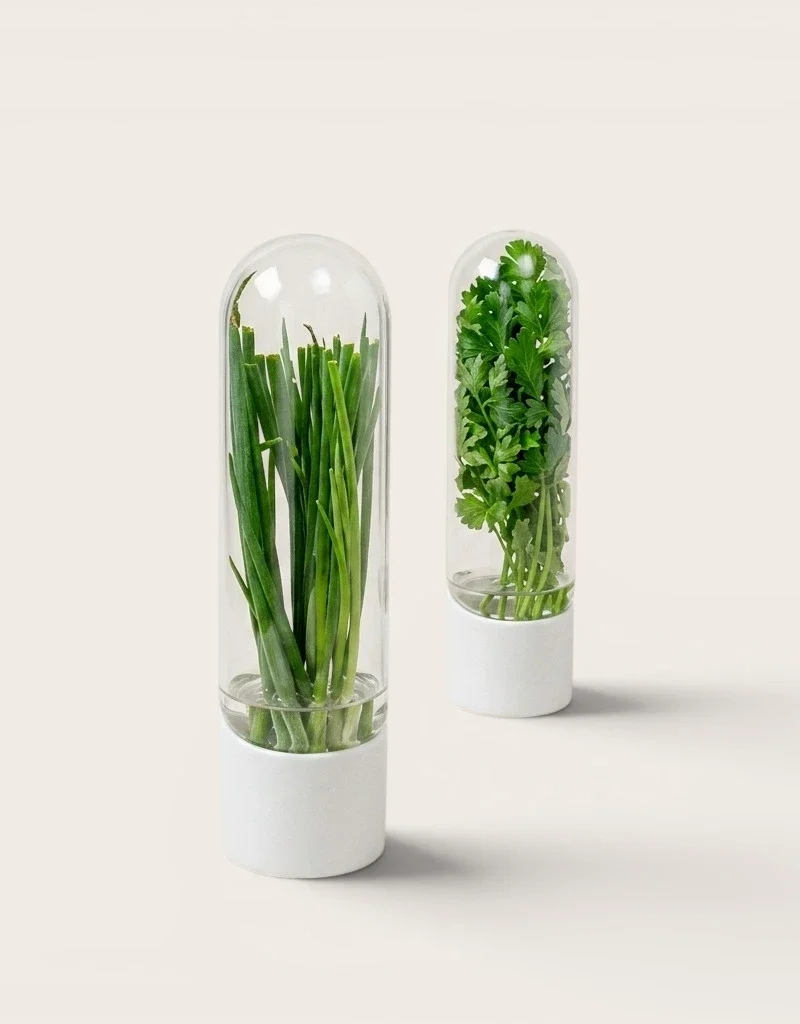Lot de 2 Conservateur d'Herbes Fraîches